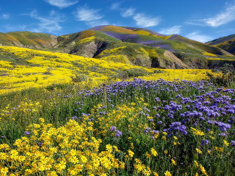 San Luis Obispo